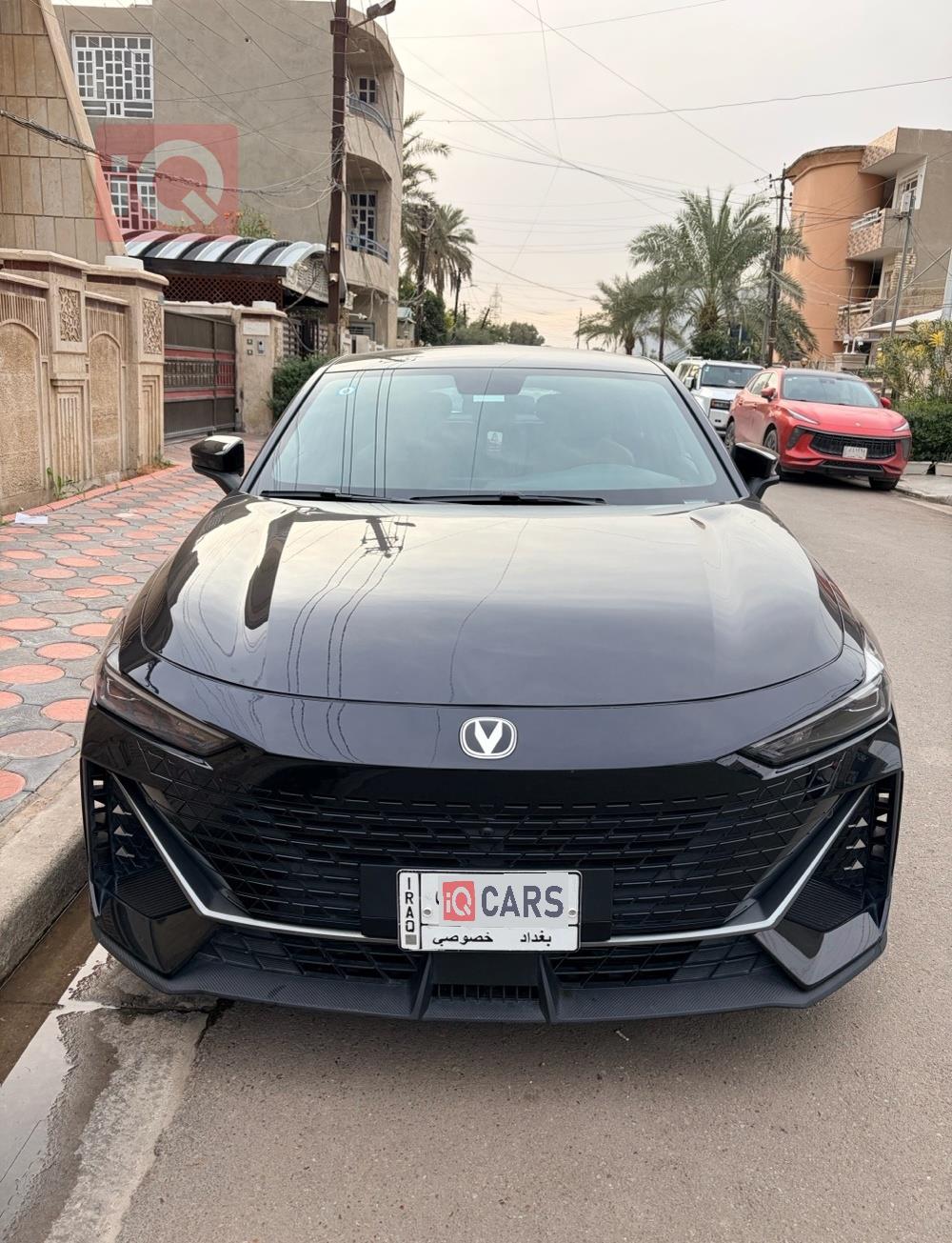 شانجان يوني في